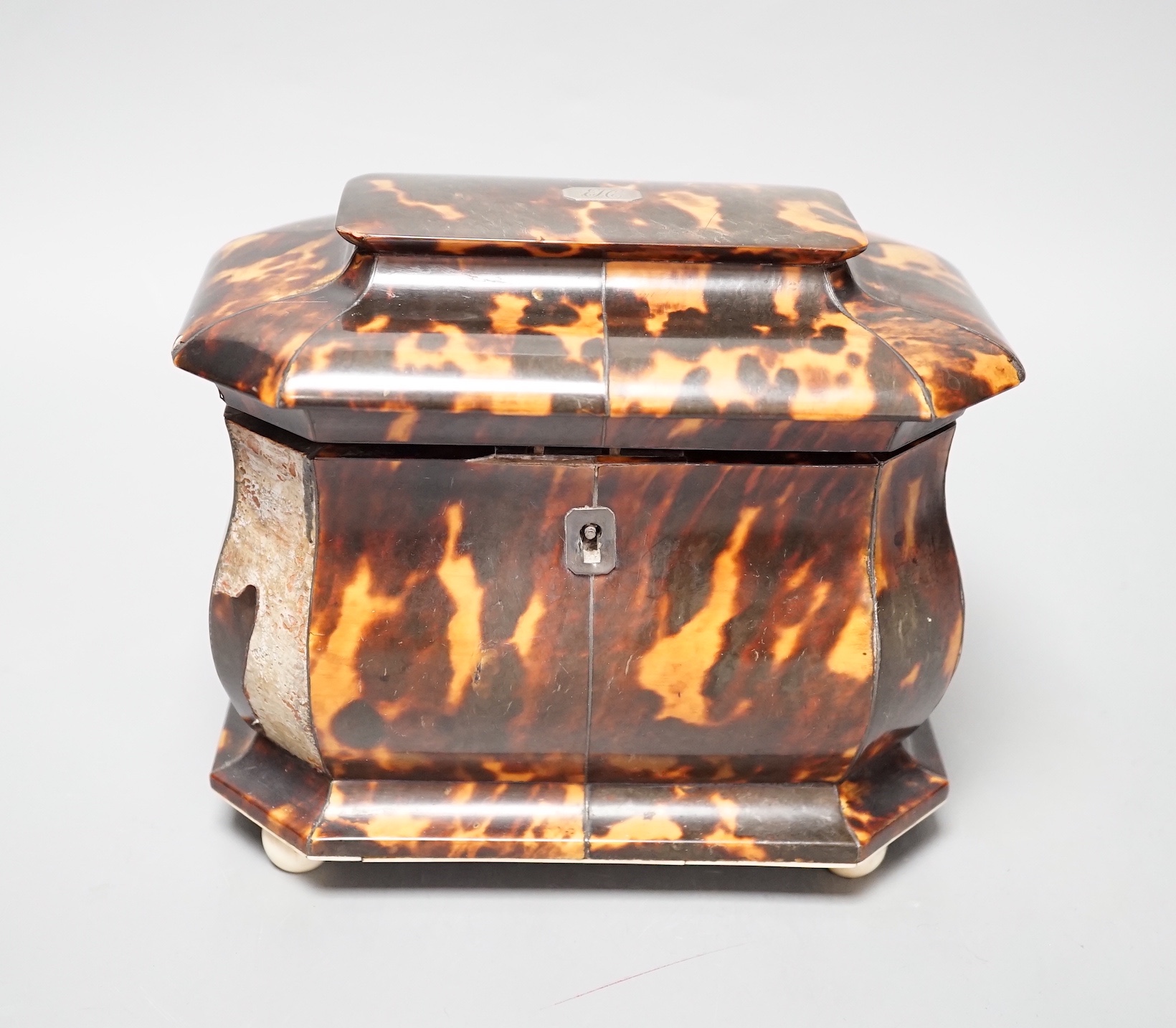 A Regency tortoiseshell bombe shaped two division tea caddy on ivory ball feet (Lid detached, requires restoration) - 18cm wide